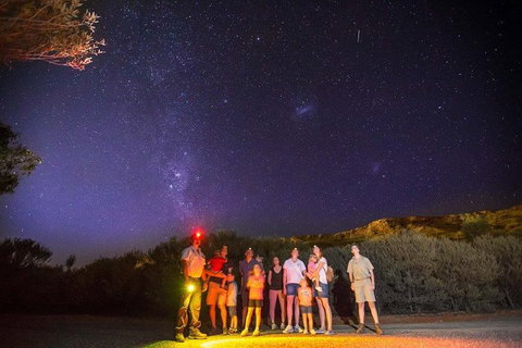 Alice Springs Desert Park Nocturnal Tour - Your Accommodation 2