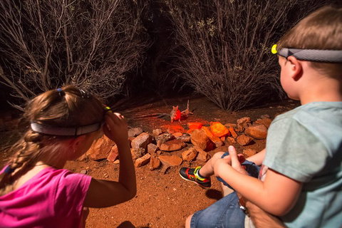 Alice Springs Desert Park Nocturnal Tour - Your Accommodation 4