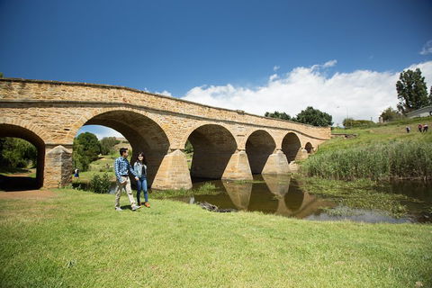 Bonorong Wildlife Park And Richmond Afternoon Tour From Hobart - Your Accommodation 2