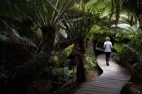 Private Tour Of Melbourne - Your Accommodation 2