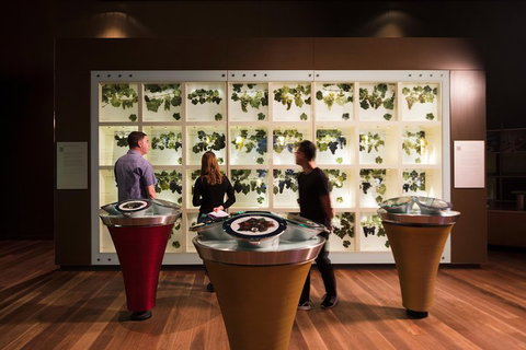 Australian Wine Discovery Tour Ticket - Your Accommodation 3