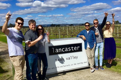 Swan Valley Tour From Perth: Wine, Beer And Chocolate Tastings - Your Accommodation 1