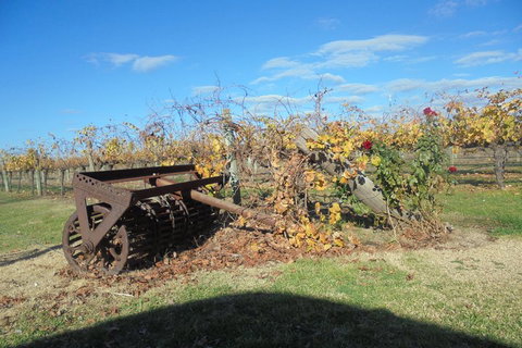 Swan Valley Tour From Perth: Wine, Beer And Chocolate Tastings - Your Accommodation 3