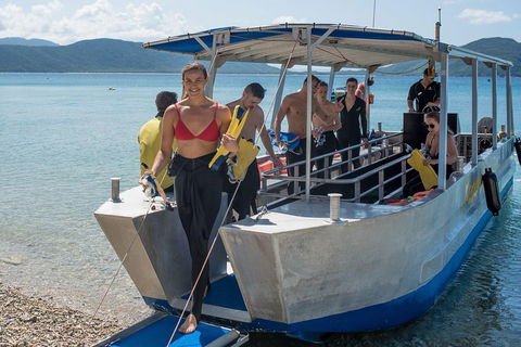 Fitzroy Island Day Trip From Cairns - Your Accommodation 5