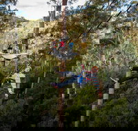 Hollybank Wilderness Adventure - Zipline Tours - Your Accommodation