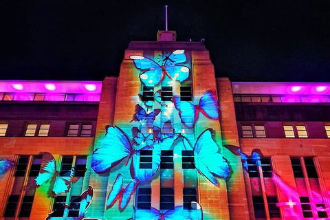Vivid 90-Minute Sydney Harbour Small Group Catamaran Cruise - Your Accommodation 0