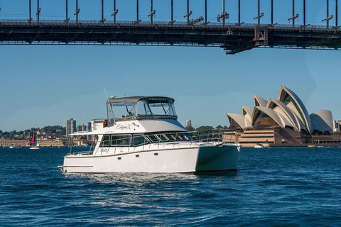 Vivid 90-Minute Sydney Harbour Small Group Catamaran Cruise - Your Accommodation 2