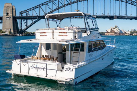 Vivid 90-Minute Sydney Harbour Small Group Catamaran Cruise - Your Accommodation 4
