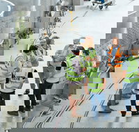 Josef Chromy Wines Winery Tour Including Tasting and Lunch - Your Accommodation