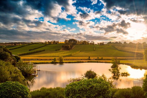 Josef Chromy Wines Winery Tour Including Tasting And Lunch - Your Accommodation 3