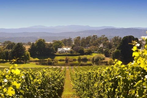 Josef Chromy Wines Winery Tour Including Tasting And Lunch - Your Accommodation 4