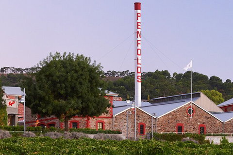 Ultimate Penfolds Magill Estate Experience - Your Accommodation 3