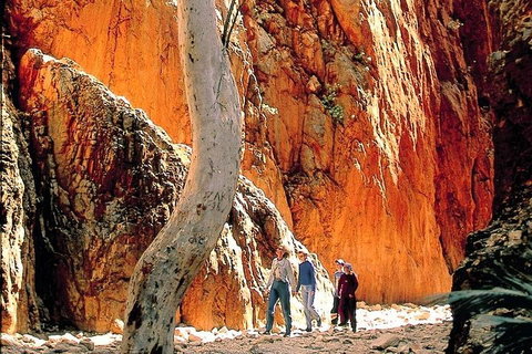 West MacDonnell Ranges Day Trip From Alice Springs - Your Accommodation 3