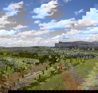 Hunter Valley Wine Tour from Sydney incl Lunch Cheese Chocolate and Distillery - Your Accommodation