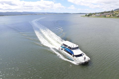 2.5 Hour Morning Discovery Cruise Including Sailing Into The Cataract Gorge - Your Accommodation 2