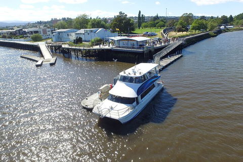 2.5 Hour Morning Discovery Cruise Including Sailing Into The Cataract Gorge - Your Accommodation 3