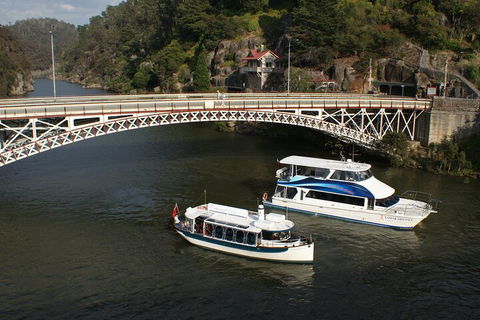 2.5 Hour Morning Discovery Cruise Including Sailing Into The Cataract Gorge - Your Accommodation 5