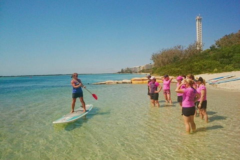 Golden Beach 1-Hour Stand-Up Paddleboard Hire On The Sunshine Coast - Your Accommodation 1