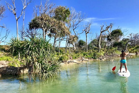 Golden Beach 1-Hour Stand-Up Paddleboard Hire On The Sunshine Coast - Your Accommodation 5