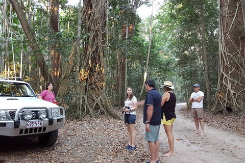 Great Beach Drive 4WD Tour - Private Charter From Noosa To Rainbow Beach - Your Accommodation 1